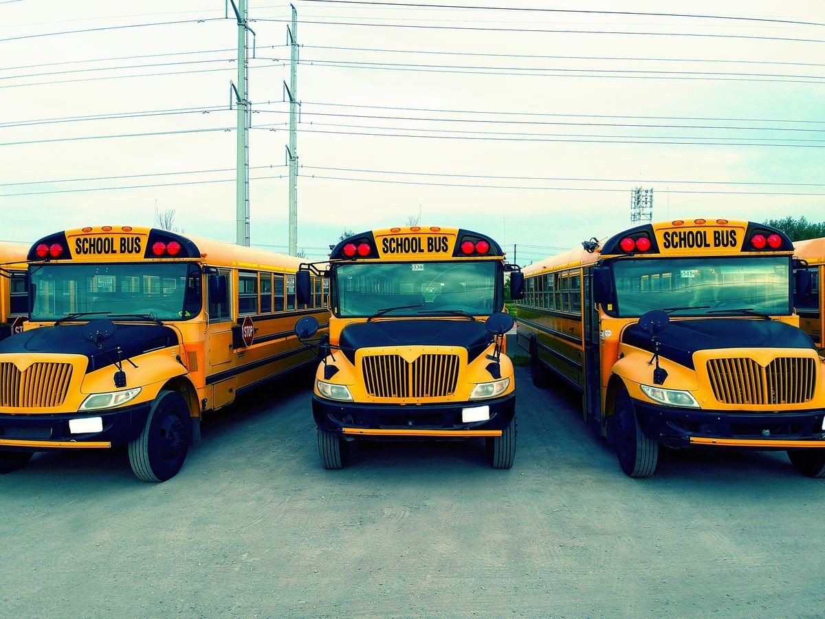 School bus vehicles ready for school educational season. Filtered effect. Parking yard with yellow trucks and evening sky ready to pick up and drop off young college students. Back to school concept.